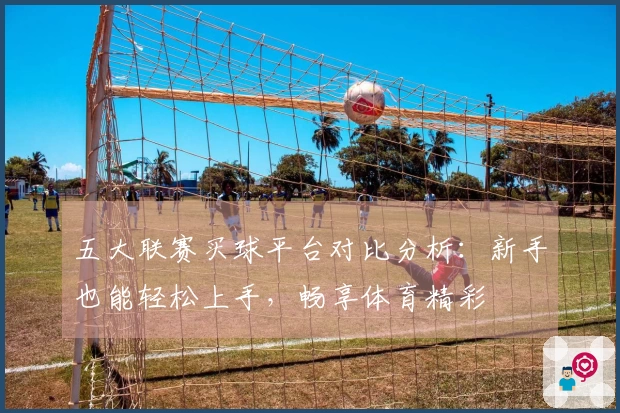 五大联赛买球平台对比分析：新手也能轻松上手，畅享体育精彩