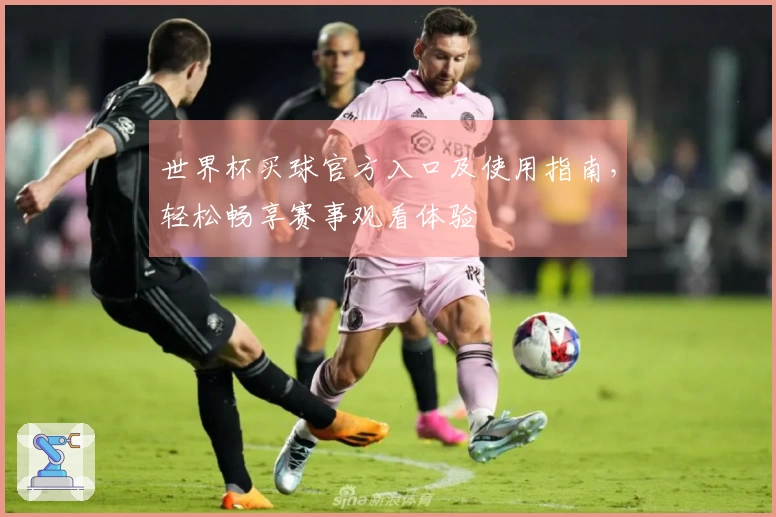 世界杯买球官方入口及使用指南，轻松畅享赛事观看体验