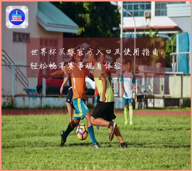 世界杯买球官方入口及使用指南，轻松畅享赛事观看体验