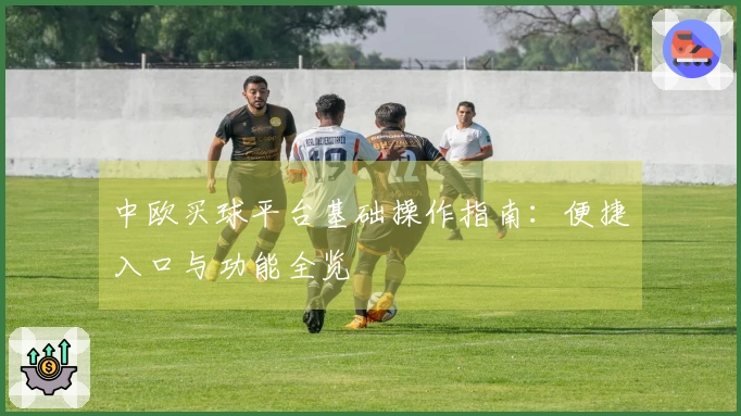 中欧买球平台基础操作指南：便捷入口与功能全览