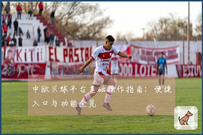 中欧买球平台基础操作指南：便捷入口与功能全览