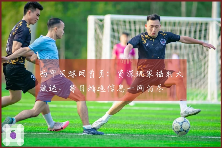 西甲买球网首页：资深玩家福利大放送，每日精选信息一网打尽