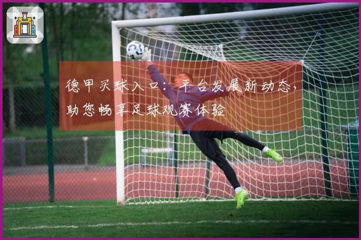 德甲买球入口：平台发展新动态，助您畅享足球观赛体验